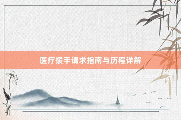 医疗援手请求指南与历程详解