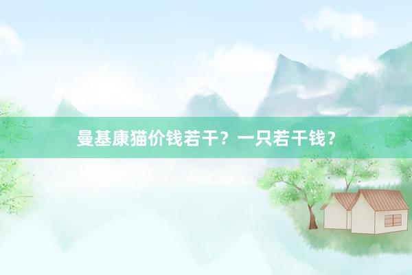 曼基康猫价钱若干？一只若干钱？