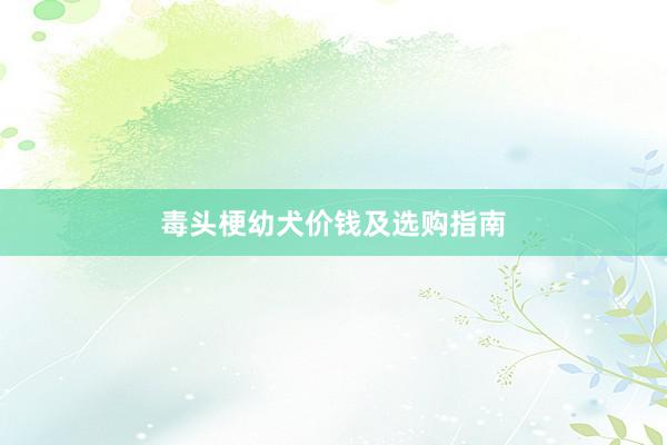 毒头梗幼犬价钱及选购指南