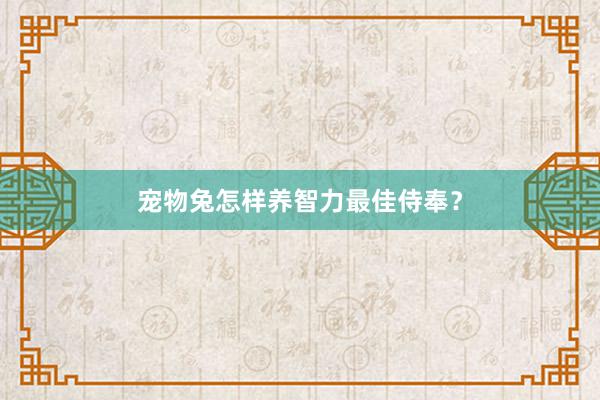 宠物兔怎样养智力最佳侍奉？