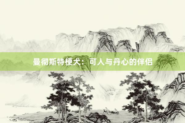 曼彻斯特梗犬：可人与丹心的伴侣