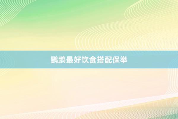 鹦鹉最好饮食搭配保举